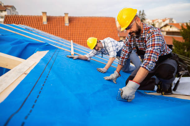 Emergency Roof Repair Services in Barberton, WA